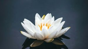 nong-Hqa-Ymae0k0-unsplash-03